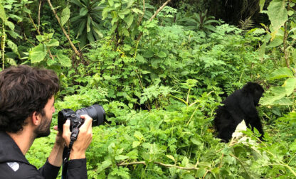 Felipe-Dana-gorillas_photo-by-christina_hm.jpg