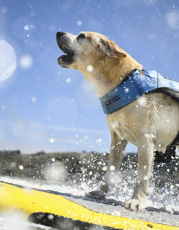 AP Week in Pictures Photo Gallery