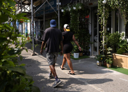 Harlem Festival Urban Activism