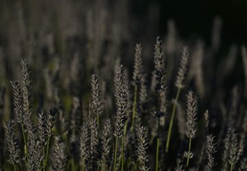 Climate Heat Skincare Sustainability