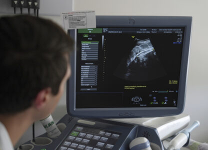 Maternal Mortality-Government Programs