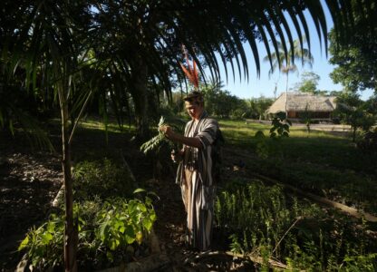 Climate Amazon Indigenous Reforestation