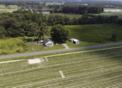 Farm fields and woods surround the home of Amy and Chris Arthur outside Mount Olive, N.C., on Monday, July 15, 2024. (AP Photo/Allen G. Breed)