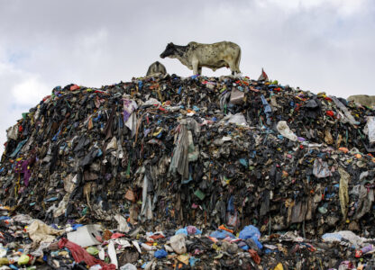 Pictures of the Week Global Photo Gallery