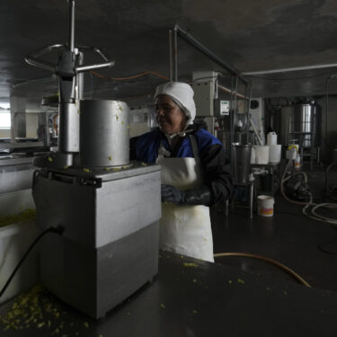 A worker wipes equipment at an artisanal popsicle factory in Salcedo, Ecuador, Thursday, Nov. 28, 2024, amid a wave of power outages, triggered by a prolonged dry spell. (AP Photo/Dolores Ochoa)