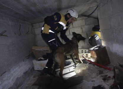A dog helps search for bodies and hidden cells at the Air Force Intelligence Branch detention center, which was allegedly used during Bashar Assad's regime to torture and kill prisoners, in Damascus, Syria, on Dec. 15, 2024. (AP Photo/Ghaith Alsayed)