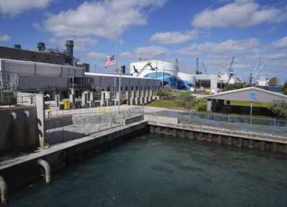 Manatees gather near the warm-water outflows of a Florida Power & Light Company power plant in Riviera Beach, Fla., where the company operates the free Manatee Lagoon attraction, Friday, Jan. 10, 2025. (AP Photo/Rebecca Blackwell)