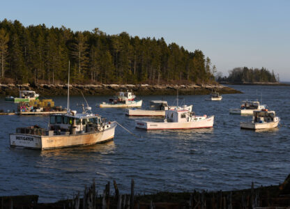 Fishing boats are moored for the evening, Tuesday, March 11, 2025, in Bremen, Maine. (AP Photo/Robert F. Bukaty)