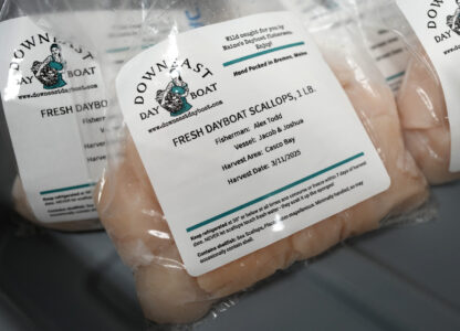 Scallops are vacuum-sealed and ready for freezing at a processing facility, Tuesday, March 11, 2025, in Bremen, Maine. (AP Photo/Robert F. Bukaty)