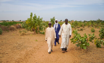 Herders and farmers from left, Adama Sow, Oumar Ba and Daka Sow walk outside Niéti Yone, northern Senegal, Tuesday, Dec. 10, 2024. (AP Photo/Jack Thompson)