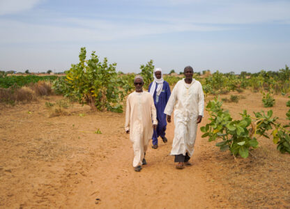 Herders and farmers from left, Adama Sow, Oumar Ba and Daka Sow walk outside Niéti Yone, northern Senegal, Tuesday, Dec. 10, 2024. (AP Photo/Jack Thompson)
