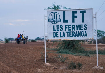 A donkey and cart drive past the African Agriculture's headquarters in Niéti Yone, northern Senegal, Monday, Dec. 9, 2024. (AP Photo/Jack Thompson)