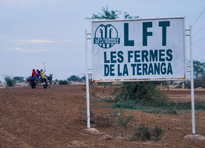 A donkey and cart drive past the African Agriculture's headquarters in Niéti Yone, northern Senegal, Monday, Dec. 9, 2024. (AP Photo/Jack Thompson)