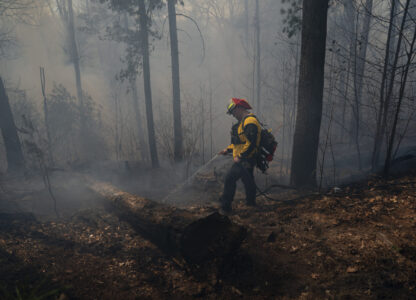 Firefighter John Ward works to control the Black Cove Fire Wednesday, March 26, 2025, in Saluda, N.C. (AP Photo/Allison Joyce)