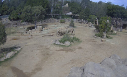 California Earthquake Elephants