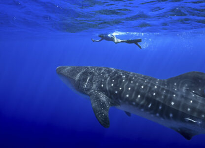 Pictures of the Week Global Photo Gallery