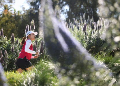 Pictures of the Week Global Photo Gallery
