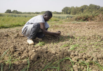 Nigeria Drying Rivers