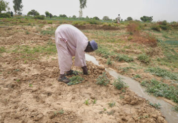 Nigeria Drying Rivers