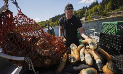 Tariffs China Geoducks