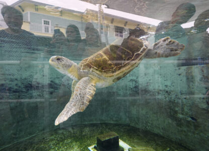 Pictures of the Week Global Photo Gallery