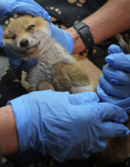 Pictures of the Week Global Photo Gallery