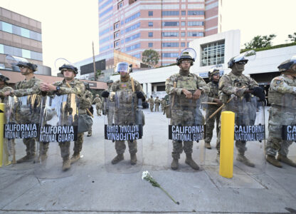 Immigration Protests Los Angeles