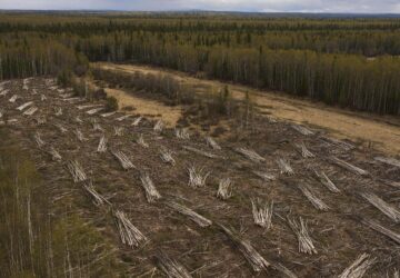 Climate Alaska Renewable Community