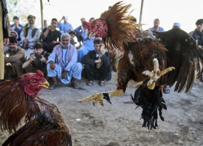 Pictures of the Week Global Photo Gallery