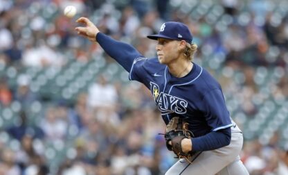 Rays Tigers Baseball