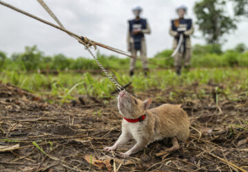 Pictures-of-the-Week-Global-Photo-Gallery