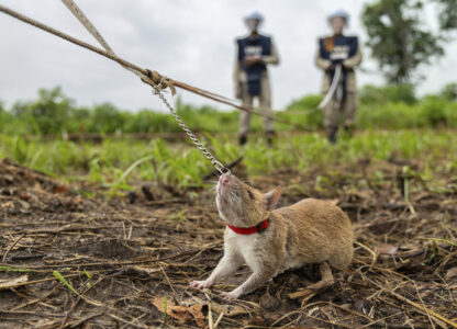 Pictures-of-the-Week-Global-Photo-Gallery