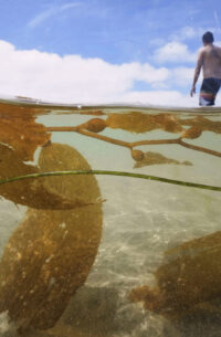 Pictures-of-the-Week-Global-Photo-Gallery
