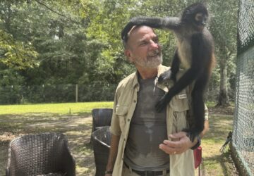 Mississippi Monkey Sanctuary