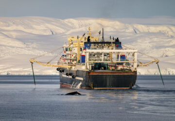 Ocean-Fisheries-Antarctic-Krill