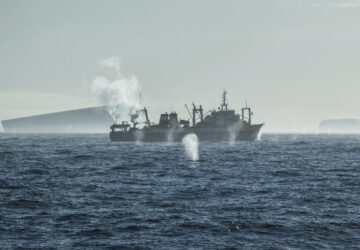 Ocean-Fisheries-Antarctic-Krill