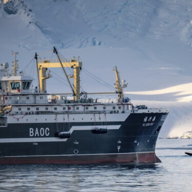 Ocean-Fisheries-Antarctic-Krill