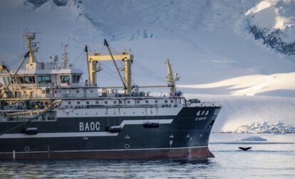 Ocean-Fisheries-Antarctic-Krill