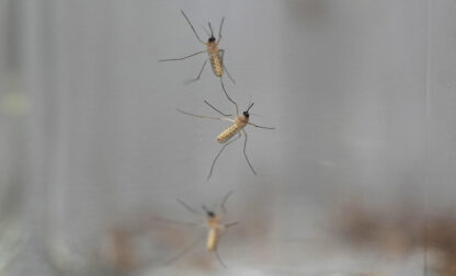 Gardening-Humane Pest Control