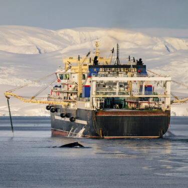 Ocean-Fisheries-Antarctic-Krill