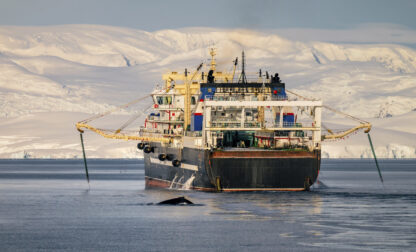 Ocean-Fisheries-Antarctic-Krill