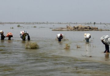 Climate Pakistan Floods Singer