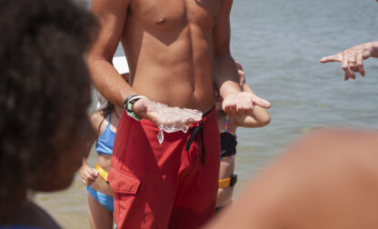 Jellyfish Beach Invasion