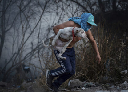 Pictures of the Week Global Photo Gallery