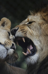 Pictures of the Week Global Photo Gallery