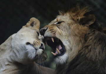 Pictures of the Week Global Photo Gallery