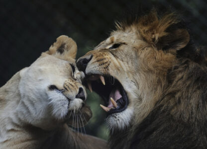 Pictures of the Week Global Photo Gallery