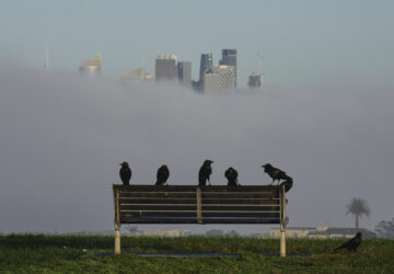 Pictures of the Week Global Photo Gallery