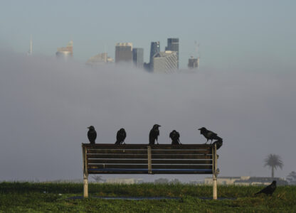 Pictures of the Week Global Photo Gallery