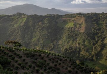 APTOPIX Colombia Indigenous Youth Recruitment